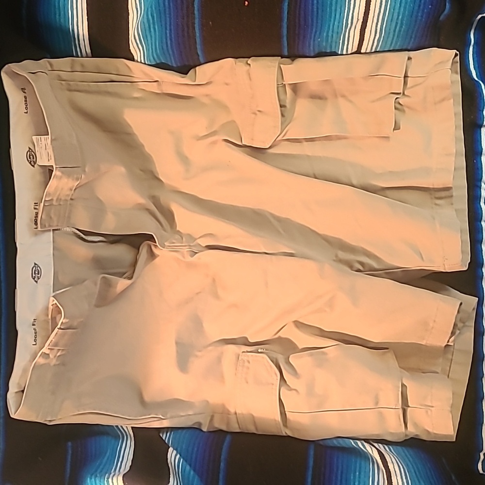 Dickes cargo shorts fits like a 34